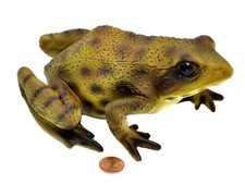 Muwse Frosch Gartendeko