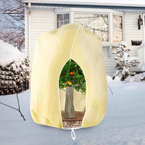 Winterschutz pflanzen 240cm - 240cm, x