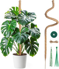 Mcbazel 120CM Monstera