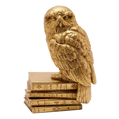 Harry potter hedwig auf - harry,