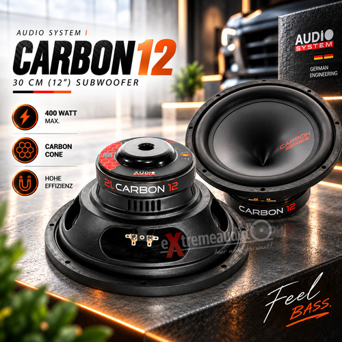 Audio system carbon - carbon, 12