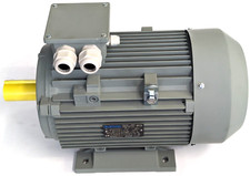Elektra Drehstrommotor 12AA132M-4 7,5kw 1500n 400/690Volt mit Kalteiler  NEU OVP