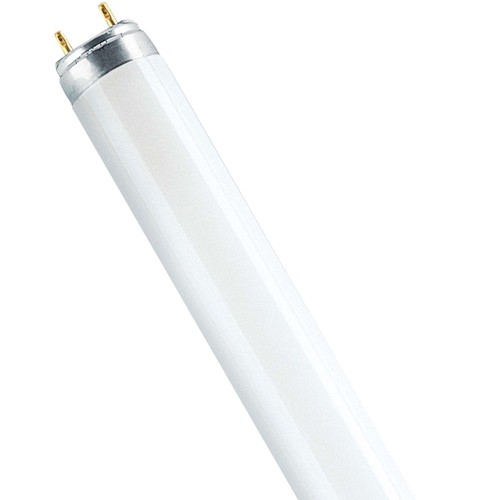 Osram leuchtstofflampe - leuchtstofflampe, t8