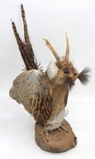 Wolpertinger Tier Präparat