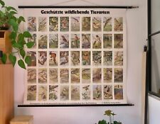 VINTAGE | SCHULWANDKARTE GESCHÜTZTE WILDLEBENDE TIERE WANDKARTE | CHART