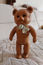 Schildkröt Teddy,Rarität ?selten