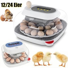 12-24 Eier Inkubator Brutmaschine Brutkasten Brutapparat Vollautomatisch Brüter