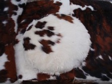 Bretz Kissen neuwertiger