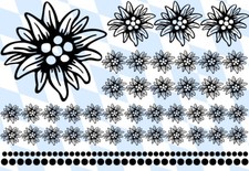89- teiliges Edelweiss