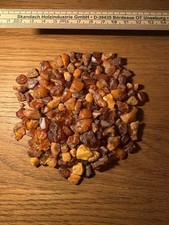 Bernstein Konvolut Roh Farbe