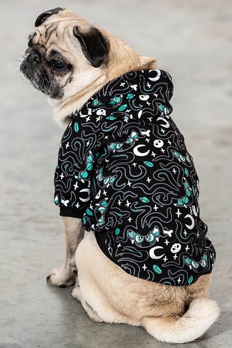 Killstar hunde kapuzenjacke - killstar,