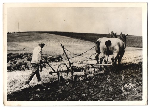 Fotografie dinges bauer mit - fotografie,