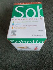Lars Bräuer / Sobotta Lernkarten Humanmedizin /  9783437411571
