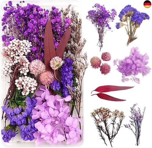 Trockenblumen zum basteln - trockenblumen,