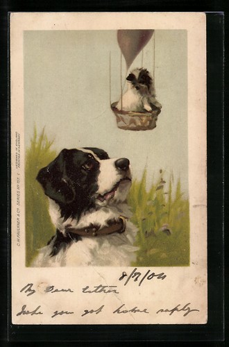 Lithographie bernhardiner - lithographie,