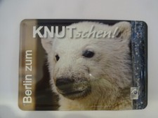 Blechschild / Eisbär Knut