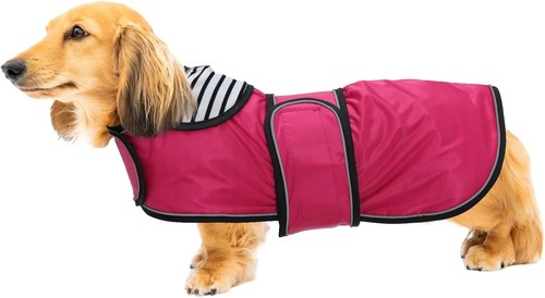 Geyecete hunde - geyecete,