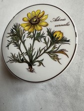 Villeroy&Boch Deckeldose  Botanica  Adonis Vernalis Dm. ca. 10 cm Höhe ca. 6 cm