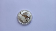 Australien Känguru Kangaroo