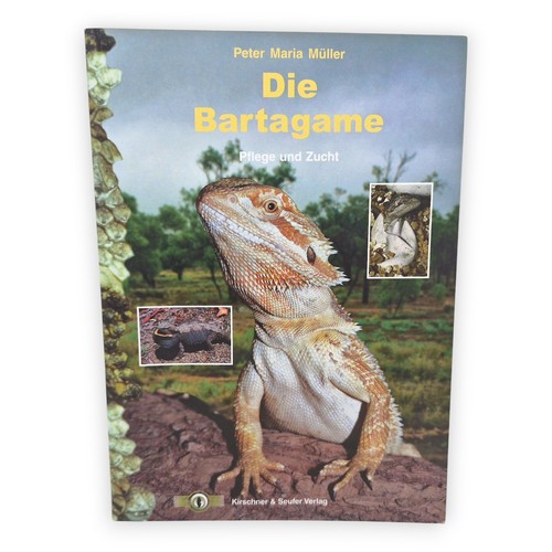 Die bartagame pflege - bartagame, und
