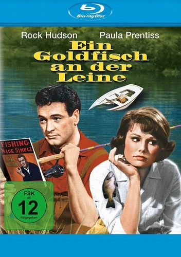 Ein goldfisch der leine - goldfisch,