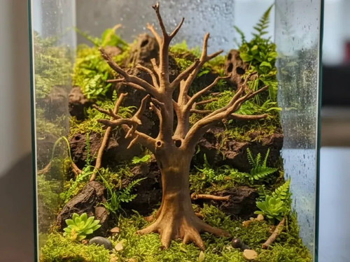 Alter baum adeko gelände - alter, |