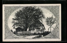 Ansichtskarte Eibenstock, Bielhaus mit Bäumen, Passepartout 