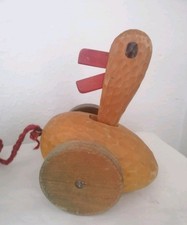 Anthroposophische Nachzieh