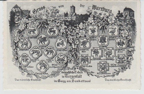 Eisenach wartburg - ak, eisenach/wartburg