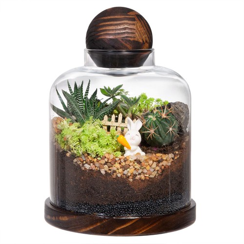 Large glass terrarium - terrarium, for