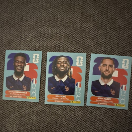 Panini fifa world cup - cup, 2026