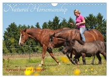 Natural Horsemanship - Partnerschaft mit Pferden (Wandkalender 2026 DIN A4 quer)