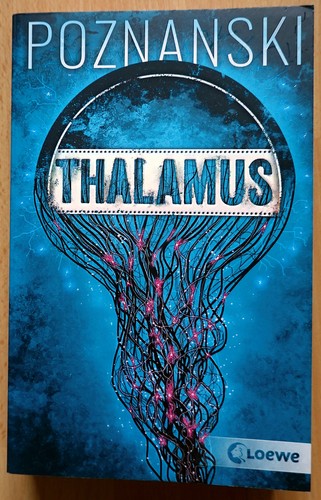 Thalamus ursula poznanski - thalamus,