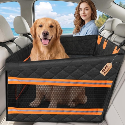 Xben extra stabiler hunde - x,