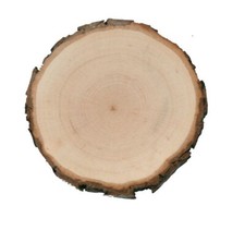Rindenbrett Baumscheibe Rindenscheibe Holzbrett geschliffen rund Erle  16-18 cm