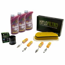 Wartungspaket 3L Öl