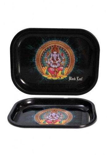 Black leaf rolling - leaf, tray