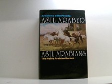Asil araber - araber, arabians
