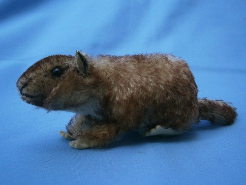 Steiff - ,