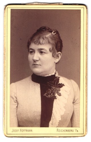 Fotografie josef hoffmann - fotografie,