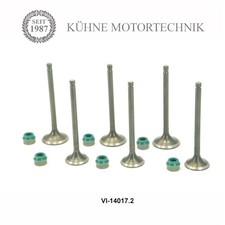 VI-14017.2 6 Ventile 3 x Einlassventil 3 X Auslassventil für Smart 0,6 0,7 M 160