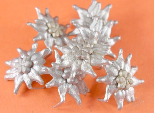 Edelweiss für gebirgsjäger - edelweiss,
