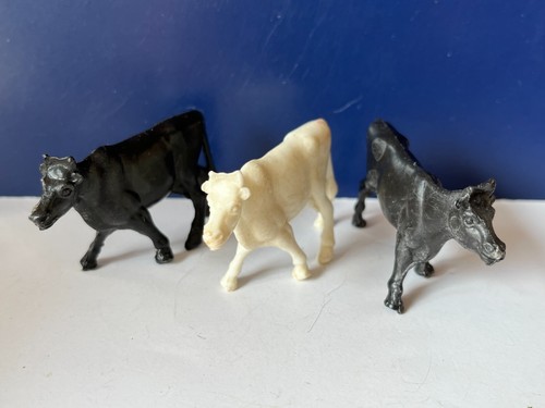 Tiere kühe rinder schwarz - tiere,