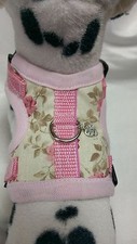 Hundegeschirr XS