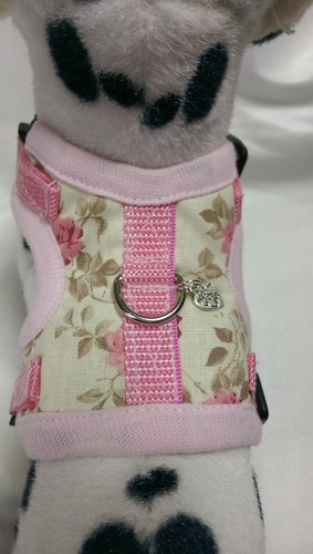 Hundegeschirr - , xs