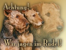 AIREDALE TERRIER