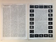 große Seiten, Juwelier