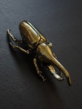 Herkuleskäfer aus Messing |