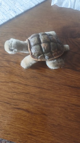 Steiff schildkröte slo 50er - steiff,