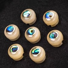 6 x Knochen Gitarrenstift